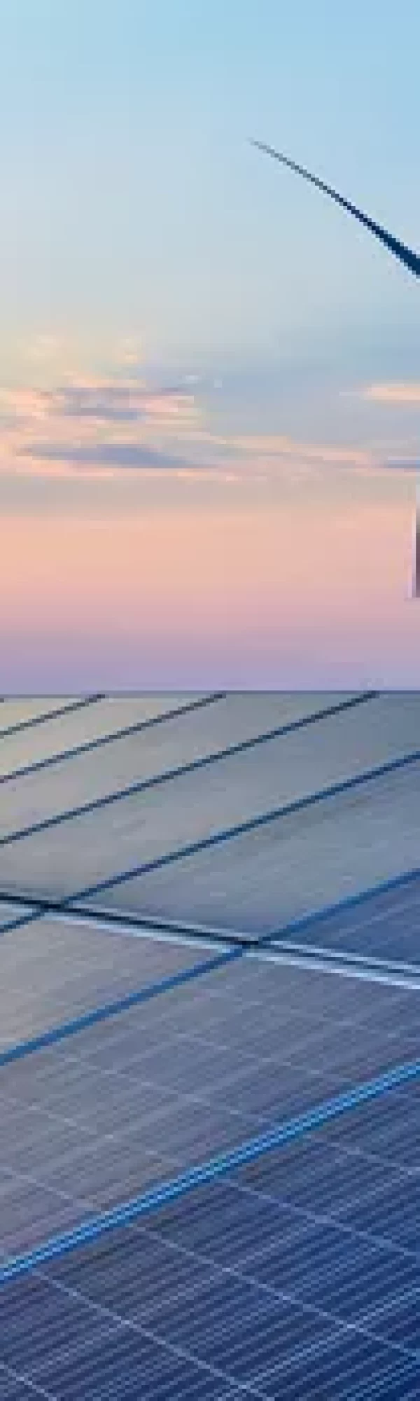 Plusieurs panneaux solaire photovoltaïque, entourés d'éoliennes avec un couché du soleil et un ciel rose et bleu.