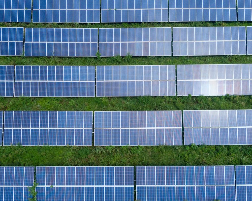 Lignées de panneaux solaire photovoltaïques, installé sur un champs d'herbe verte et en bonne santé.